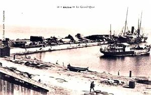 ARZEW 311